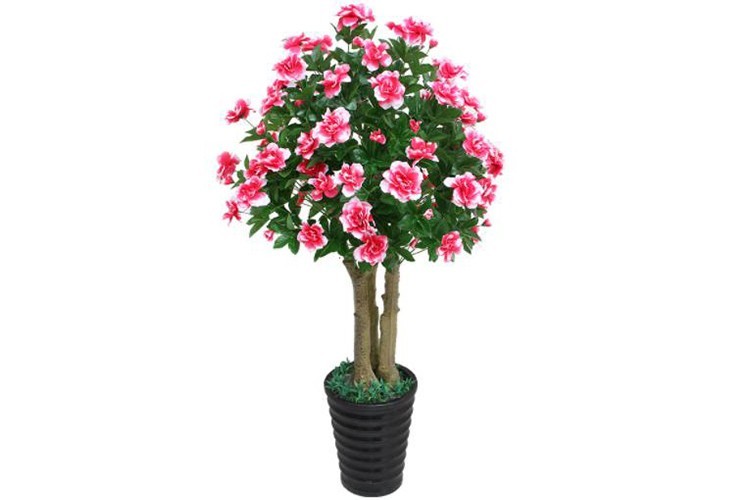装饰树客厅花艺 