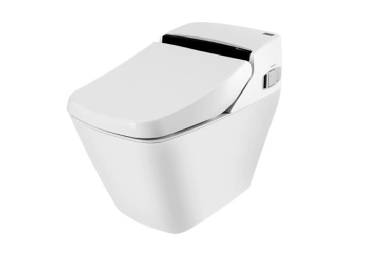 连体式家用冲水坐便器 