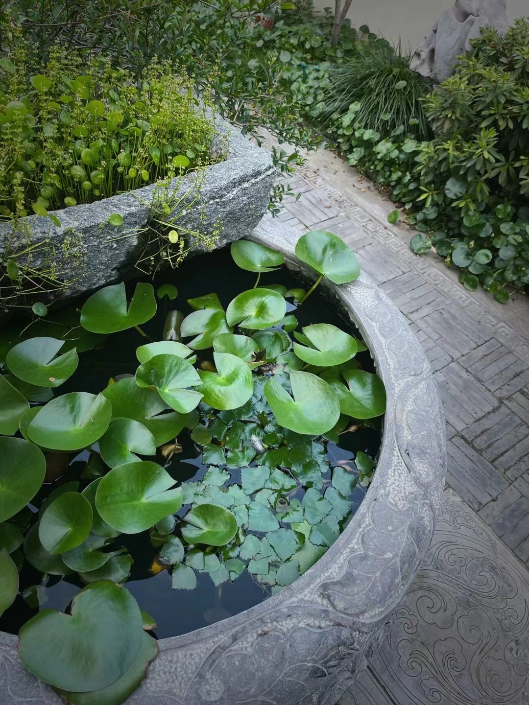 浙江宁波余姚顾家苏式别墅