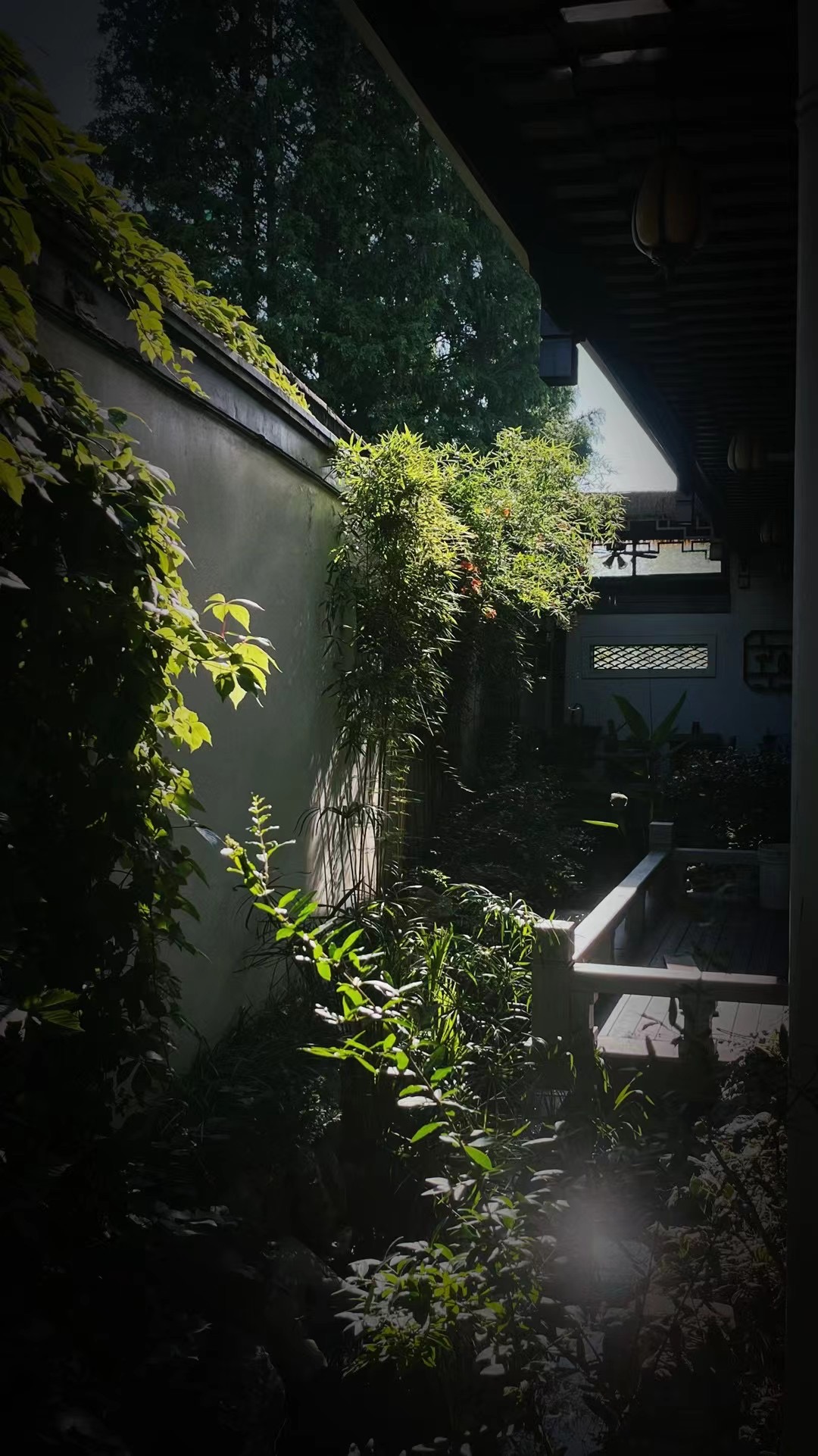 浙江宁波余姚顾家苏式别墅