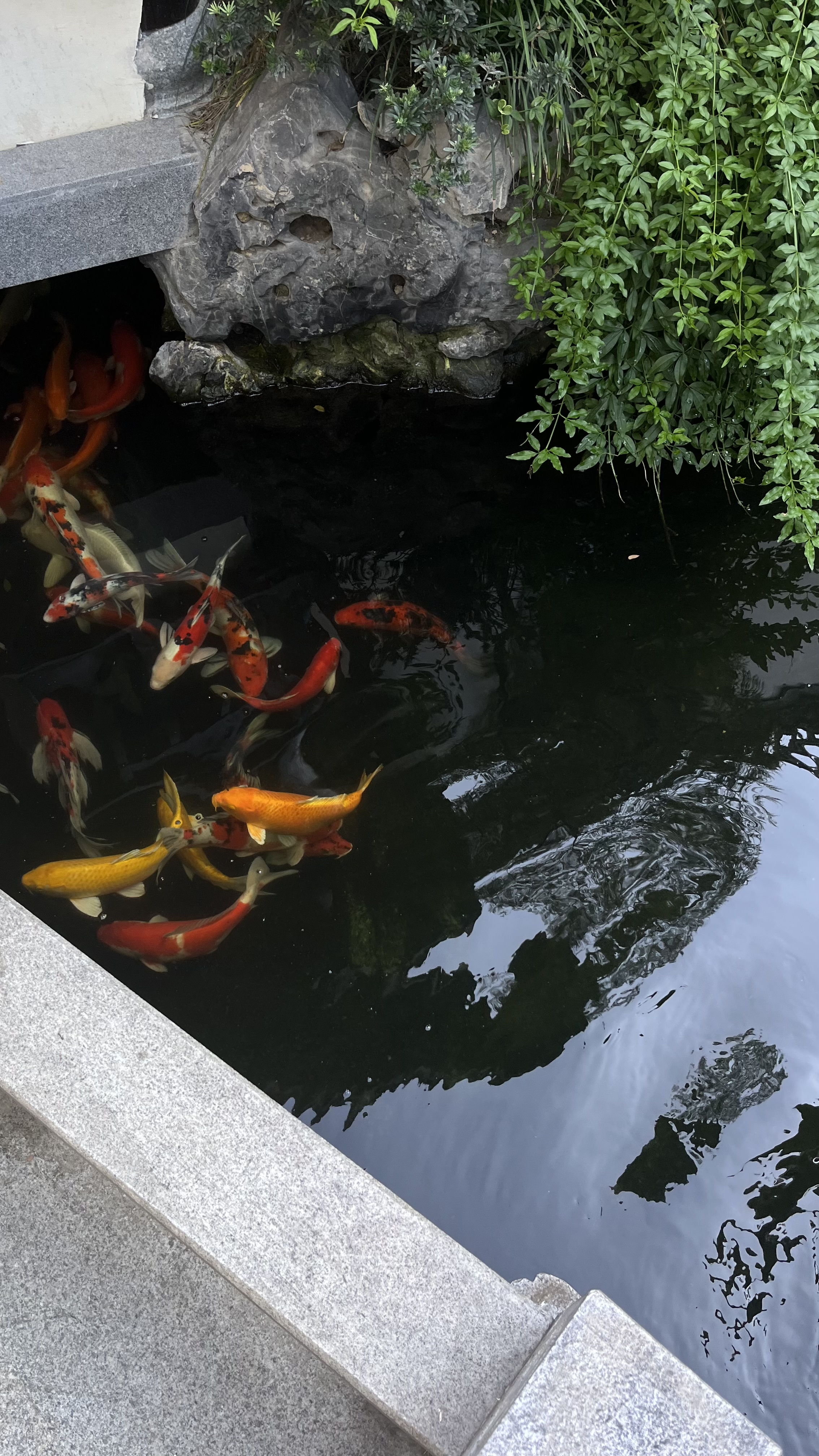 浙江宁波余姚顾家苏式别墅