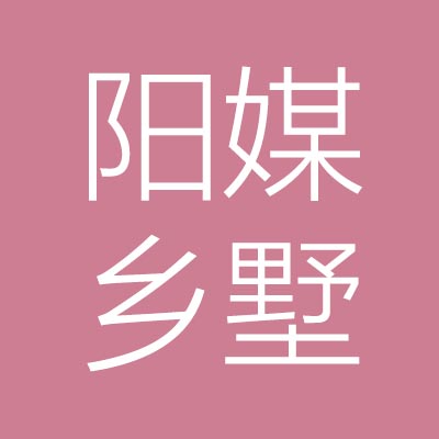 山东阳***科技有限公司