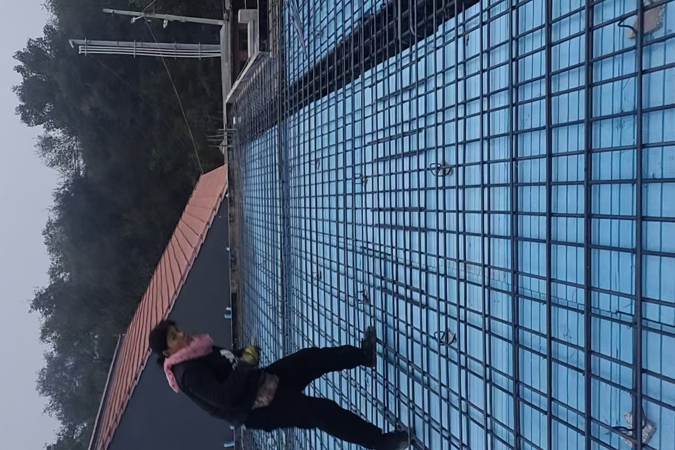 高岭镇芹菜岭村 翟先生