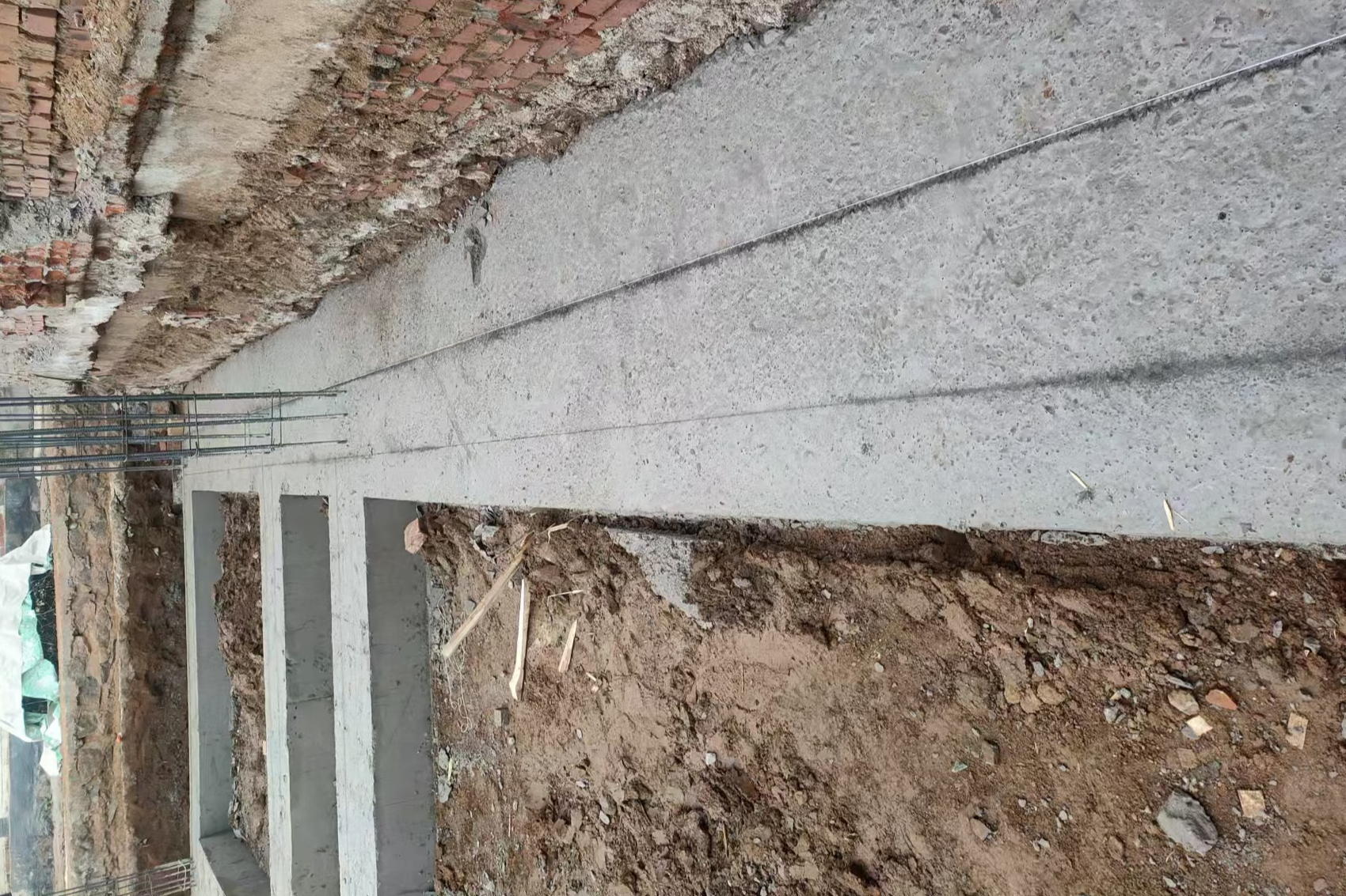 高岭镇芹菜岭村 翟先生