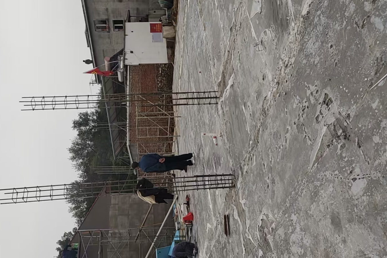 高岭镇芹菜岭村 翟先生