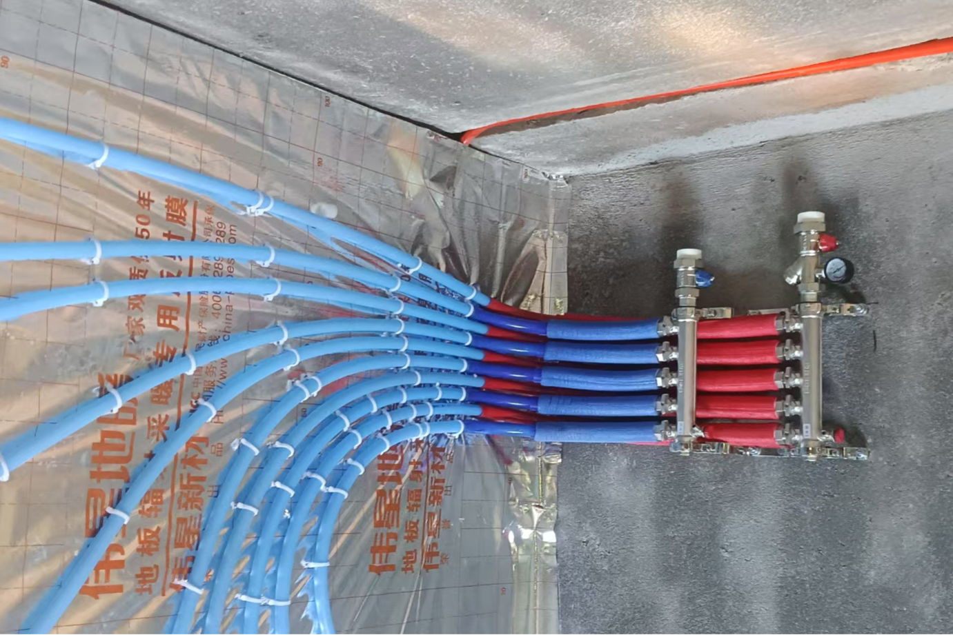 高岭镇芹菜岭村 翟先生