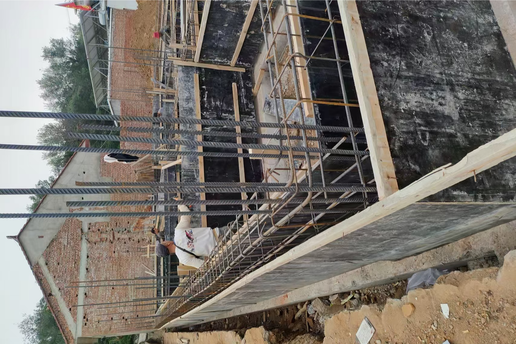 高岭镇芹菜岭村 翟先生