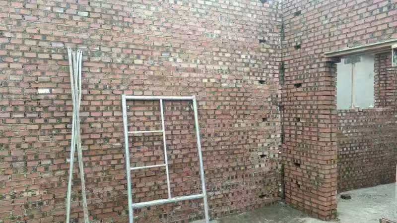 高岭镇芹菜岭村 翟先生