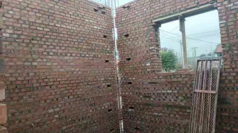 高岭镇芹菜岭村 翟先生