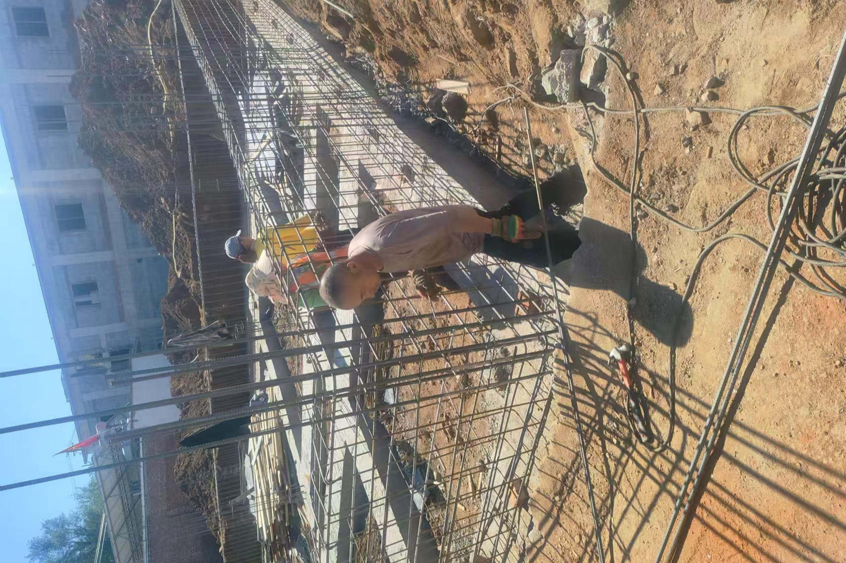 高岭镇芹菜岭村 翟先生