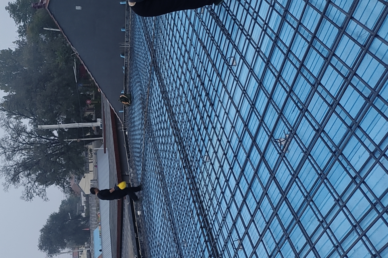 高岭镇芹菜岭村 翟先生