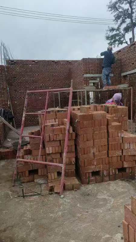 高岭镇芹菜岭村 翟先生